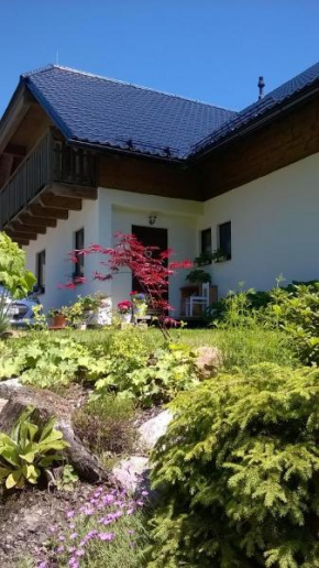 Apartmány Brevant, Zelezná Ruda